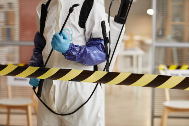 Professional Sewage Cleanup technician working in Adrian, MN